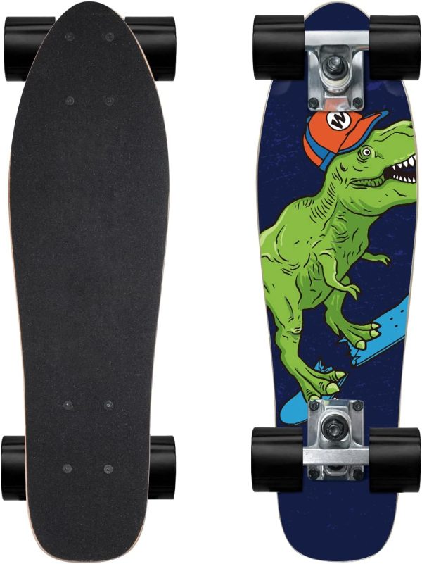 Skateboard Complete 22 Inch Mini  for Beginners Kids Boys and Girls